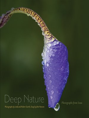 cover image of Deep Nature